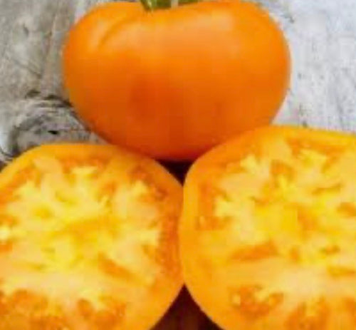 Amish Orange Sherbet Tomato