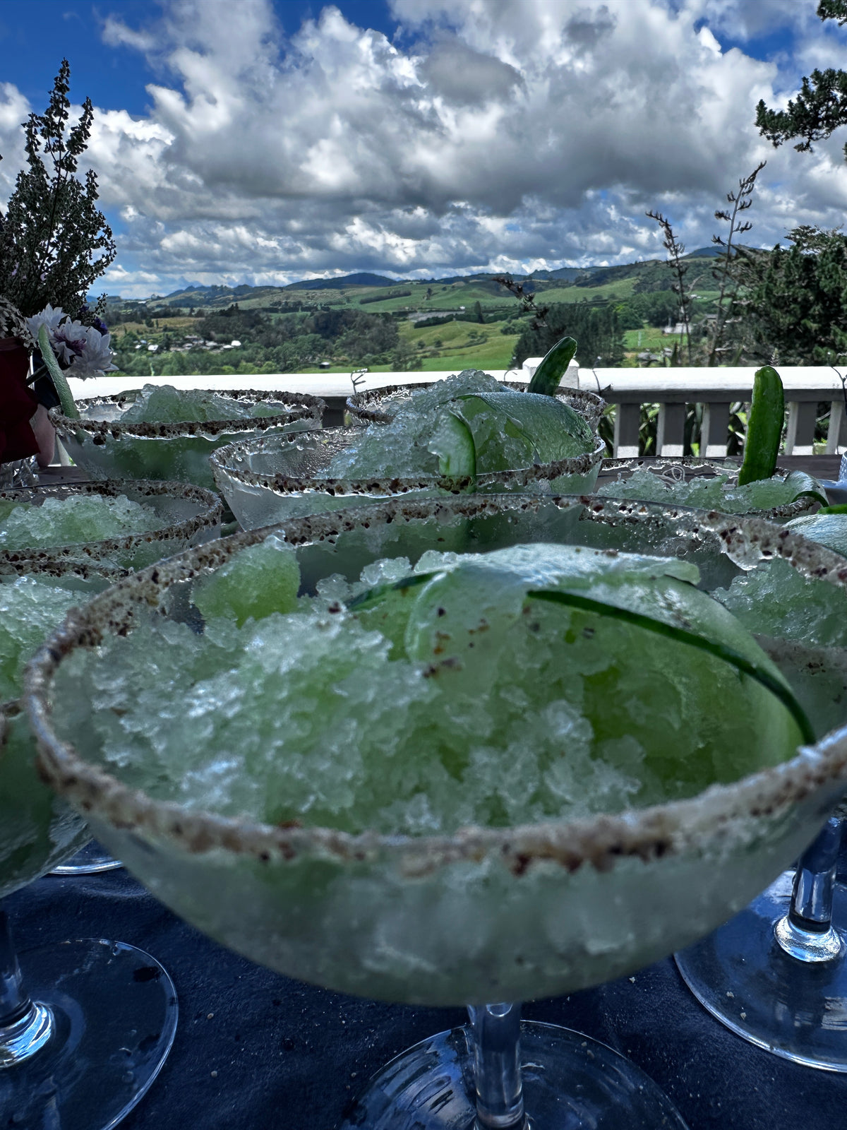 Cucumber, celery and apple granita made with Telegraph cucumber and served at A Garden Between