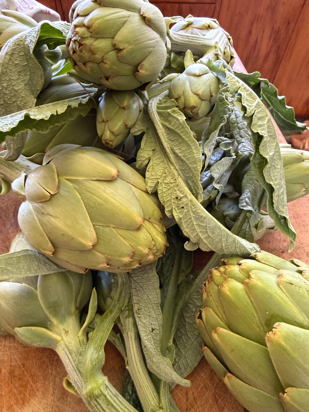 Globe Artichoke ‘Violet de Provence’