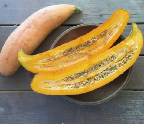 Squash North Georgia Candy Roaster