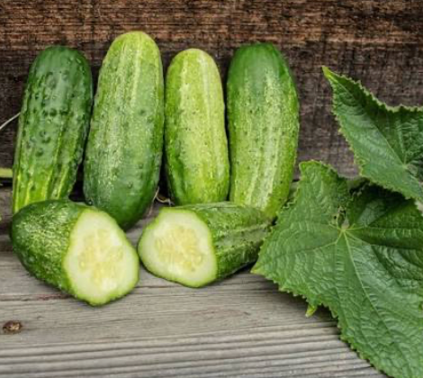 Homemade Pickles Cucumber