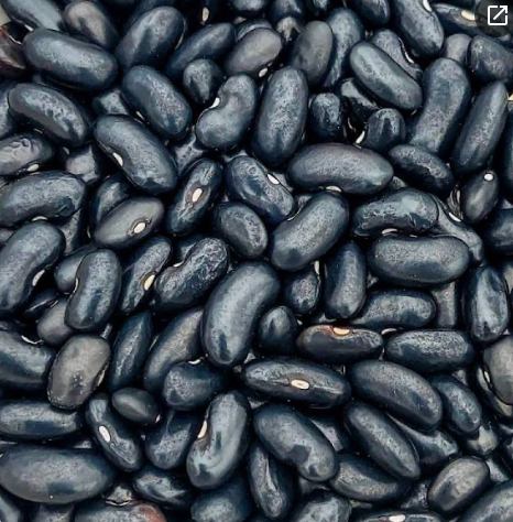 Colombian Black Dwarf — Heritage Drying Bean