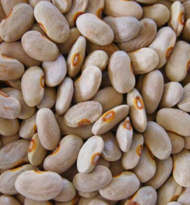 Hopi Beige — Heritage Climbing Runner Bean